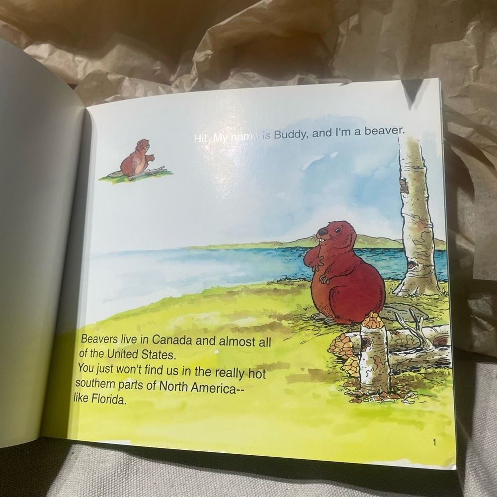 New Vintage World of Animals Buddy the Beaver Paperback written by John Storms - Picture 6 of 8